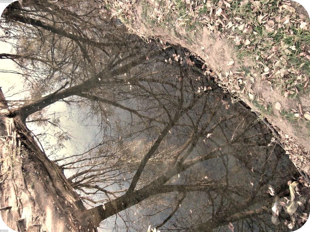 ការយល់ដឹងអំពីការពិចារណា និងការពិនិត្យ