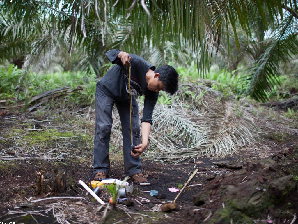 សារៈសំខាន់នៃ ក្តីពិចារណា និងការពិនិត្យ