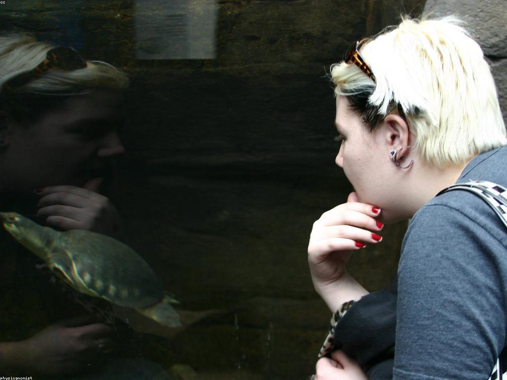 ការយល់ដឹងអំពី ក្តីពិចារណា និងការពិនិត្យ