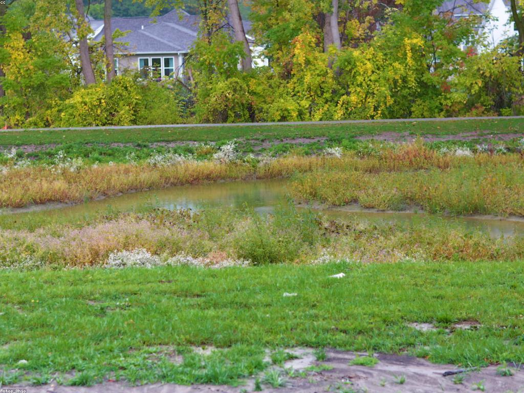 ការណែនាំអំពីការលេងហ្គេមសង្គ្រាម