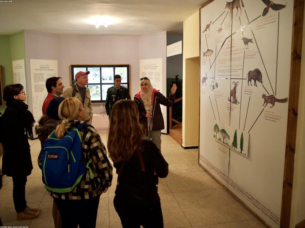 ព័ត៌មានថ្មីៗ និងការពិពណ៌នា